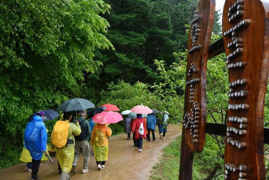 Hoengseong Lake Road Festival