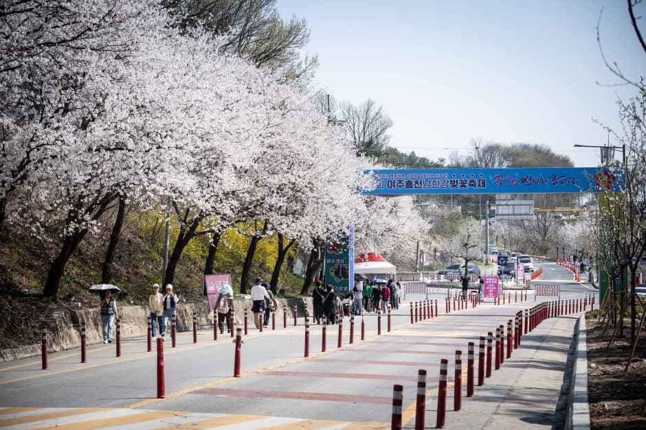 Yeoju Heungcheon Namhangang River Cherry Blossom Festival (여주흥천남한강 벚꽃축제)